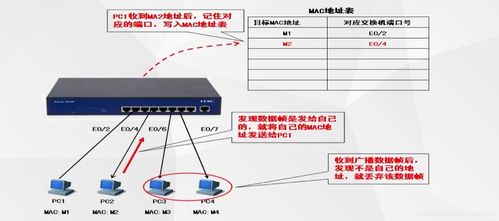 交换机与路由器 网络世界的交通枢纽与导航系统
